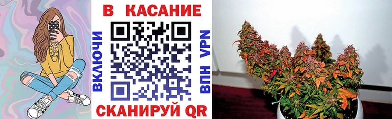 Продажа наркотиков Петровск Псилоцибиновые грибы АМФ Альфа ПВП МЕФ МАРИХУАНА LSD-25 ГАШИШ