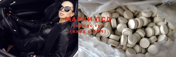 гидра Володарск