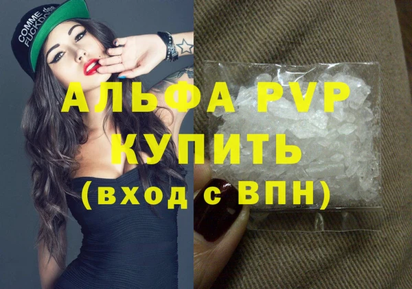 гидра Володарск