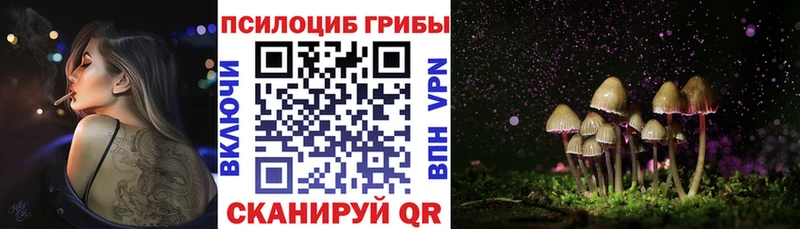 Псилоцибиновые грибы Psilocybe Петровск