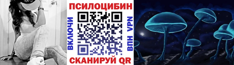 цены наркотик  Петровск  Псилоцибиновые грибы ЛСД 